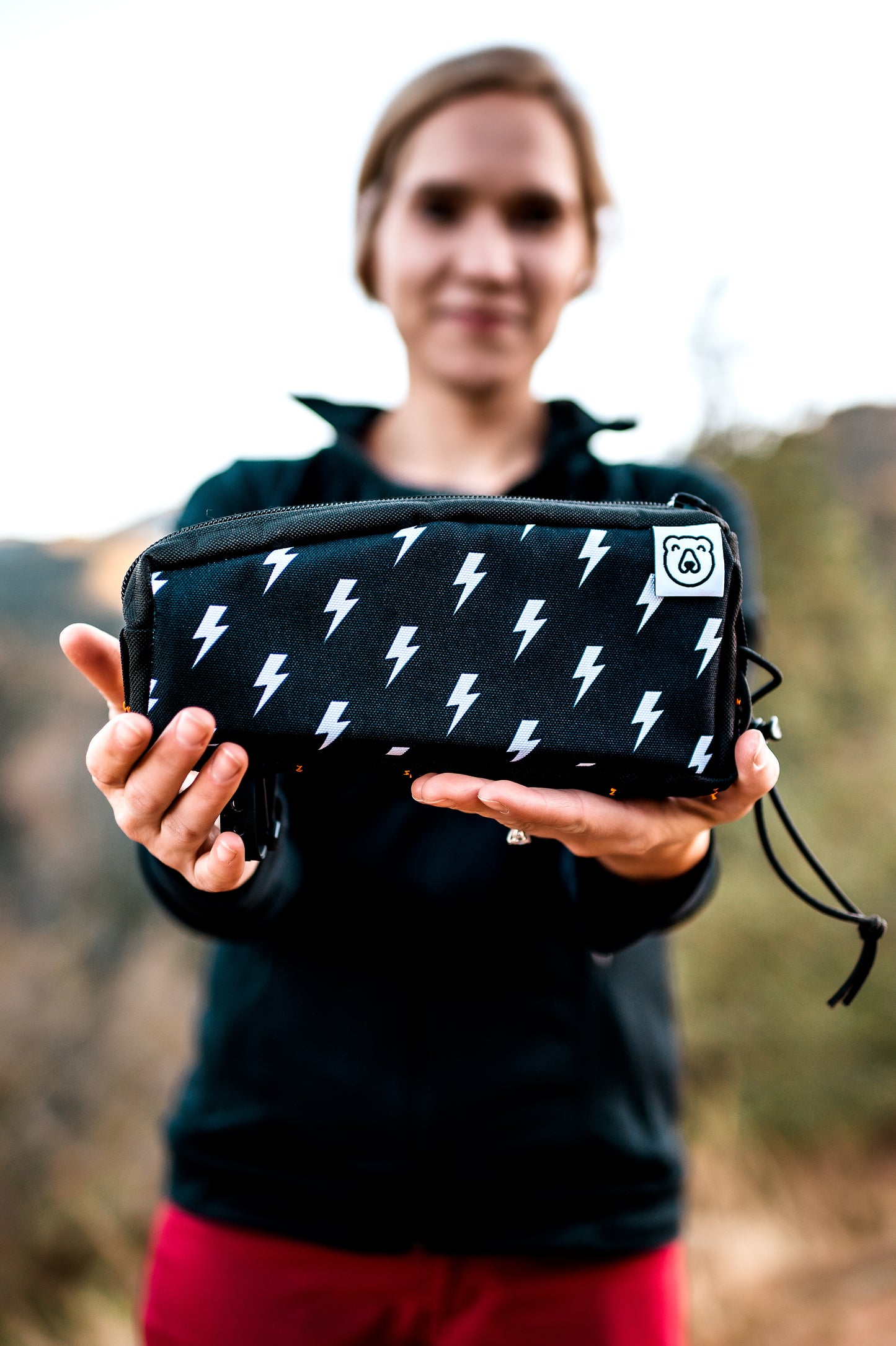 Big Bolts Top Tube Bag